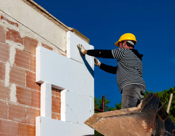 Best Fiberglass Insulation  in Summersville, WV