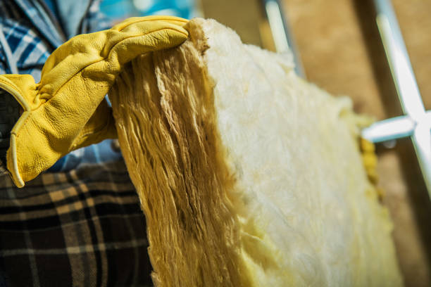 Best Commercial Insulation Contractor  in Summersville, WV