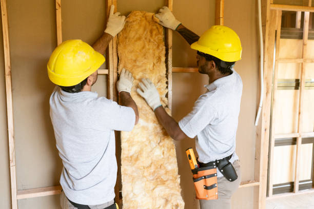 Best Insulation for New Construction  in Summersville, WV