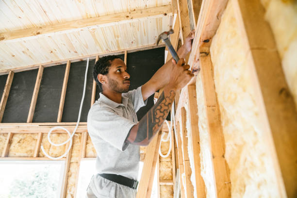 Best Blown-in Insulation  in Summersville, WV