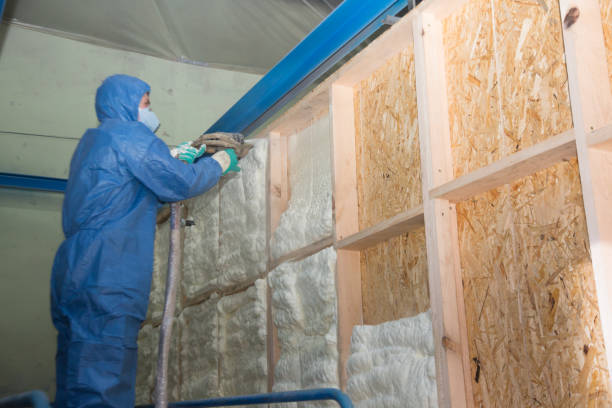Best Cellulose Insulation  in Summersville, WV