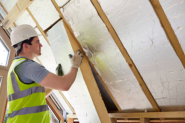 Best Insulation Contractor Near Me  in Summersville, WV