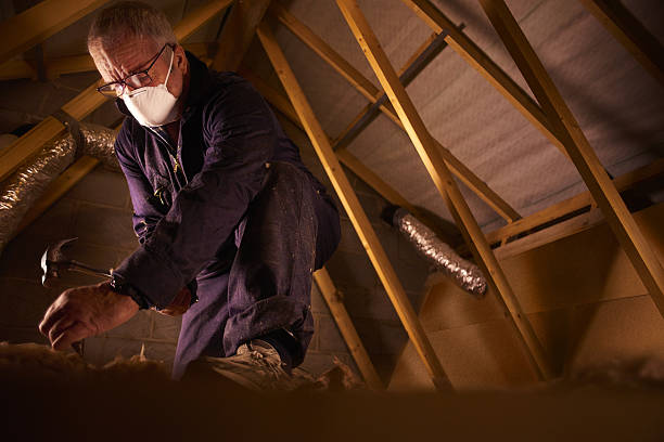 Best Professional Insulation Contractor  in Summersville, WV